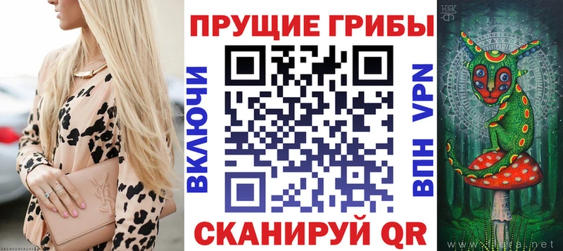 Псилоцибиновые грибы GOLDEN TEACHER  Горячий Ключ 